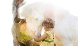 我的馬朋友！小蘿莉與小馬超萌草原奔跑       寵物趣聞、 兒童、小孩、馬、寵物