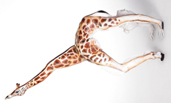 軟骨功人體長頸鹿！英國體操美女Beth Sykes 長頸鹿、攝影、彩繪、體操、Beth Sykes