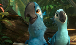 動感森巴嘉年華　《里約大冒險2》回來囉！ 森巴、電影、巴西、里約、鳥