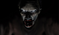 雪女、餓鬼紛出籠　日本5大怨靈的故事與模型 醜女、阿岩、盲人、文彌、女傭