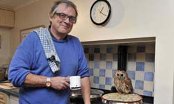 貓頭鷹泡的茶有種味道叫做愛？報恩的宅宅貓頭鷹 Bertie、Peter、貓頭鷹、報恩、宅宅貓頭鷹