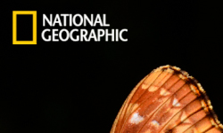 平凡照片變專業攝影小秘招：8個必勝LOGO 質感、平凡、照片、專業、攝影、秘招、必勝、惡搞、搞怪、LOGO