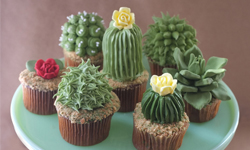這不是盆栽！可愛的仙人掌杯子蛋糕 Alana Jones-Mann、DIY、杯子蛋糕、仙人掌、盆栽