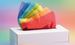 擦了手上有彩虹？一盒3000元的日本天價面紙 日本、DAISHOWA FIRST、面紙盒、面紙、彩虹