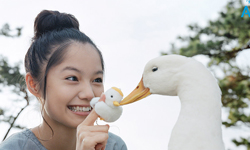 女孩都想變成她！甜美療癒笑容的宮崎葵 宮崎葵、甜美、日本、可愛、療癒