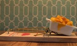 連人類都擋不住的美食陷阱！美味捕鼠夾攝影集《Gourmet Mouse Traps》 Gourmet Mouse Traps、Claudia Ficca、Davide Luciano、、藝術