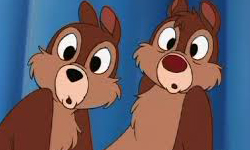 大家都愛花栗鼠兄弟！奇奇蒂蒂周邊特蒐    花栗鼠、奇奇蒂蒂、周邊、特蒐、玩具、迪士尼