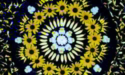 真實版百變萬花筒　藝術家創造的花花世界 萬花筒、花、Kathy Klein、自然、曼陀羅