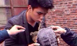 我和你吻鱉！男與鱉親嘴、唇腫數倍樂極生悲 鱷龜、東成西就、樂極生悲、吻鱉、梁朝偉