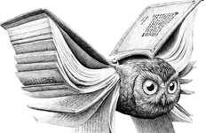 嘿美的翅膀其實是書本？荷蘭藝術家的變種動物插畫 Redmer Hoekstra、荷蘭、藝術家、貓頭鷹、犀牛、鳥、蟾蜍、蜜蜂、藝術