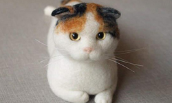 這些貓咪跟真的一樣！活靈活現可愛貓咪羊毛氈 nekolabo、貓咪、羊毛氈、摺耳貓、萌