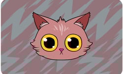 不用喵喵叫你就知道！看動圖讀懂15種貓咪肢體語言 貓咪、肢體語言、知識、小知識、動圖、GIF、喵喵叫、貓、body language