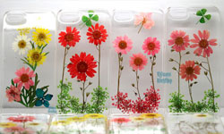 手機也能多點綠意 讓時光凝結的壓花手機殼 壓花、手機殼、iPhone