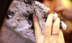 包包裡養了小毛怪？ 觸感鬆軟的毛茸茸手機殼 毛毛手機殼、手機殼、毛怪