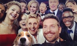 麥莉跟流浪狗一起自拍？狗狗亂入明星照Muttbombing Muttbombing、Dallas Pets Alive、麥莉、狗狗、流浪動物