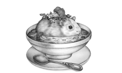來碗天竺鼠蔬菜湯？遊走在可愛與獵奇邊緣的可口插畫       插畫、藝術、甜點、寵物、動物、可口、獵奇