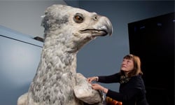 鷹馬即將現身倫敦！《哈利波特》機器巴嘴幕後揭密 魔法、世界、鷹馬、巴嘴、霍格華茲