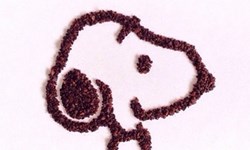 一把咖啡渣打造卡通世界！香味四溢的創作插畫集 Liv Buranday、#groundcoffeeart、咖啡渣、插畫