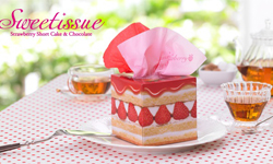 包山包海包甜點！想要抽抽抽不停的夢幻面紙 日本、DAISHOWA FIRST、面紙盒、面紙、彩虹、甜點、蛋糕、巧克力、富士山