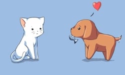 床頭吵床尾和！貓狗夫婦的冤家生活 貓咪、狗、夫婦、萌、動物、腦補