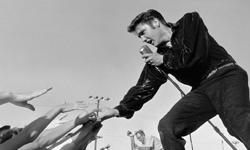 怎樣才算酷？美國百大酷名人肖像展《American Cool》展出中 國家肖像藝廊、National Portrait Gallery、American Cool、酷、Madonna