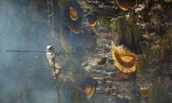 用生命換蜂蜜！震撼人心的採蜜工人生活攝影 Andrew Newey、古隆族、少數民族、蜂蜜、蜜蜂