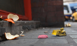 垃圾交給它們來解決？隱藏在城市中的微小清潔隊短片 垃圾、清潔隊、短片、Rushes、動畫