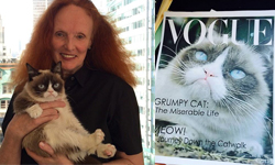 臭臉貓改當封面女郎？直闖時尚雜誌編輯室 VOGUE、網路、不爽貓、Grumpy Cat、時尚