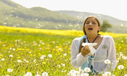 噴嚏打不完嗎？從小細節開始改善過敏！ 過敏、抗敏、寒性食物、發炎食物、運動