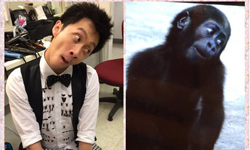 妞快報：陳漢典模仿人就是不像！網友笑虧可演「猩猩」 妞快報、陳漢典、來自星星的你、猩猩、模仿