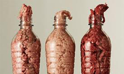 罐子塞滿誰的肉？血腥生肉挑戰你食慾的極限 Per Johansen、罐子、血腥、生肉、食慾