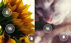 手機質感桌布DIY 3鍵輕鬆把相片變桌布App《Gradify》 桌布、App、自製、相片