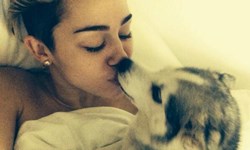 妞快報：愛犬過世太悲傷？麥莉取消演唱會憔悴住院中！ 妞快報、麥莉、演唱會、住院