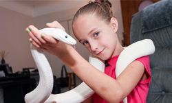 蛇蠍美人從小養成？9歲蛇姬巨蟒不離身 蛇、蘿莉、蛇姬、巨蟒、女孩