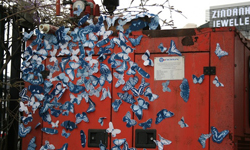 這就是蝴蝶效應？環遊全世界的蝴蝶裝置藝術 Tasha Lewis、蝴蝶、裝置藝術、磁鐵、環遊世界