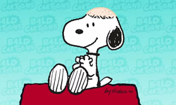 探險活寶、史努比都禿頭了？支持癌症病童的《Bald Cartoons》活動 Ogilvy Brasil、癌症、兒童、探險活寶、加菲貓