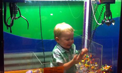 孩子你在哪？失蹤幼兒離奇現身夾娃娃機內 小孩、寶寶、兒童、萌、安全