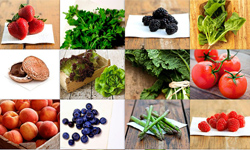 有這張就不用冰箱了？用奶奶秘方研發的神奇保鮮紙 冰箱、奶奶、秘方、神奇保鮮紙、Kavita Shukla