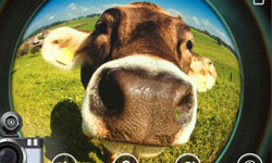 4/28限時免費App特輯：換個魚眼相機來拍拍！ 限免、免費、特價、iPhone、App