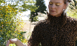 上衣在蠕動！露乳女引萬隻蜂上身遮兩點 露乳、露奶、袒胸、露乳、蜜蜂、上衣、蠕動、兩點、雙峰、雙乳、自然、環境、恐怖、蜂群、群蜂、叮、12000隻