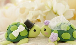 草泥馬也來參加婚禮？動物系列結婚蛋糕特蒐 動物、婚禮、結婚、蛋糕、結婚蛋糕