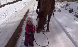 我會安全送你到家！史上最溫馨的小女孩遛馬記    小孩、兒童、萌、蘿莉、動物、溫馨