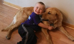 還了救命恩情！充當暖暖包保護男孩的忠犬 Carson Urness、Cooper、忠犬、忠狗、救命恩情