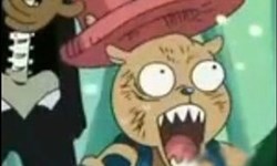 像豬像羊又像馬？！點名卡通動畫中的四不像...... 嚕嚕米、海賊王、動物明星、卡通、動畫