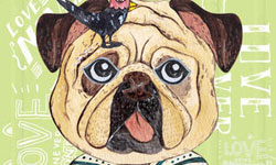 可愛動物插畫貼圖自己做 自製寵物貼圖App《Innocent by Ballzi - LOVE Never Abandons》 寵物、動物、插畫、Ballzi、自製貼圖