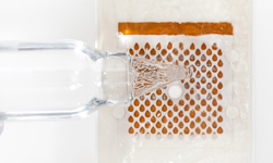 汙水瞬間變淨水！遠離水汙染的飲用書Drinkable Book Drinkable Book、飲用書、水汙染、大腸桿菌、霍亂、細菌、疾病、WATER is LIFE