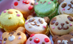 圓仔變成任何甜點都好萌呀！動物馬卡龍繽紛出爐 chocoholic、圓仔、甜點、動物馬卡龍、馬卡龍、日本、雜貨