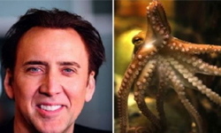 養章魚的人到底在想什麼？明星們的怪怪寵物 Michael Jackson、Nicolas Cage、George Clooney、MBLAQ、寵物