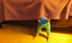 只有上半身躲好了？傻呼呼的小孩躲貓貓特輯 躲人、嚇人、傻呼呼、小孩、躲貓貓