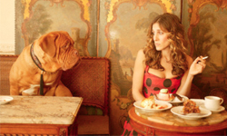 別讓牠在餐廳搗亂！5個帶狗狗外出用餐的潛規則 狗狗、寵物、用餐、寵物餐廳、潛規則、禮節、規矩、毛小孩